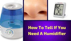 will a humidifier help with a cough at night|How You Can Tell If You Need a Humidifier .